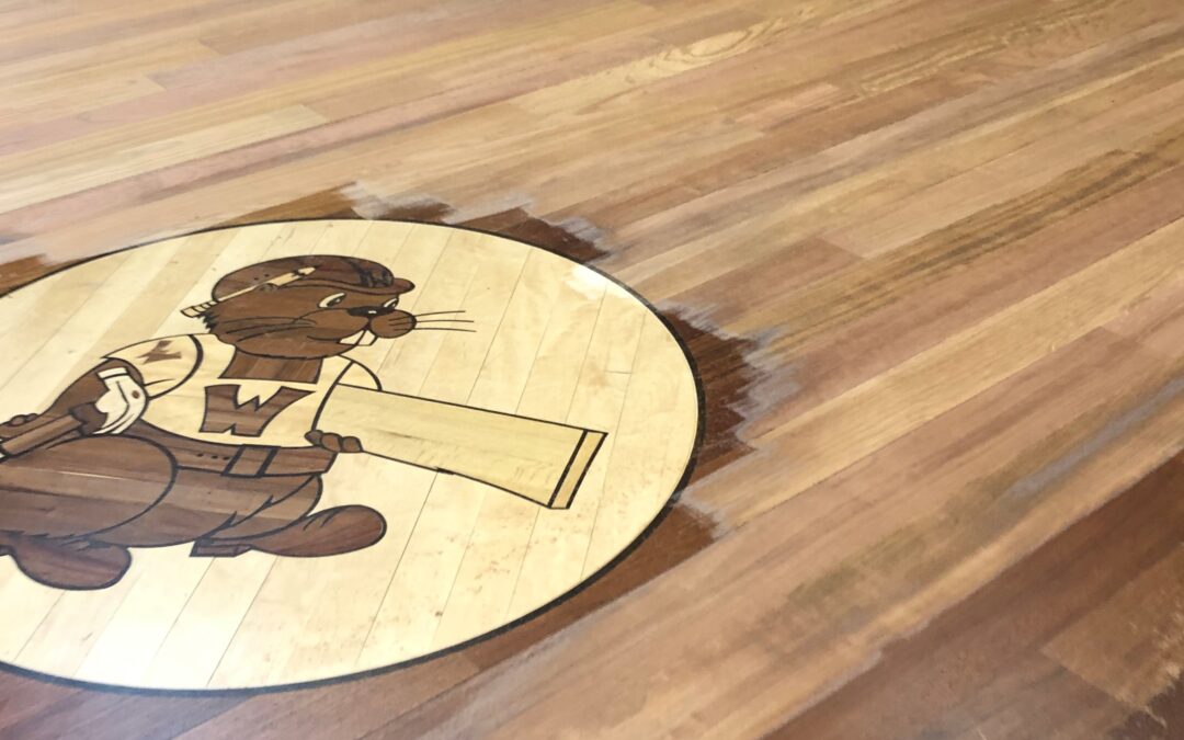 Refinishing The Woodchuck Flooring Showroom Hardwood Floors