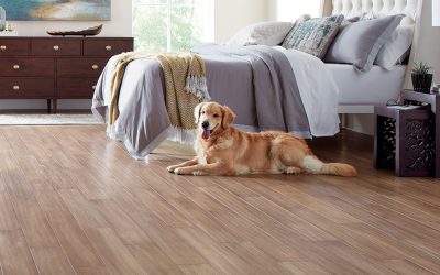 Best Hardwood Floors For Pet Owners
